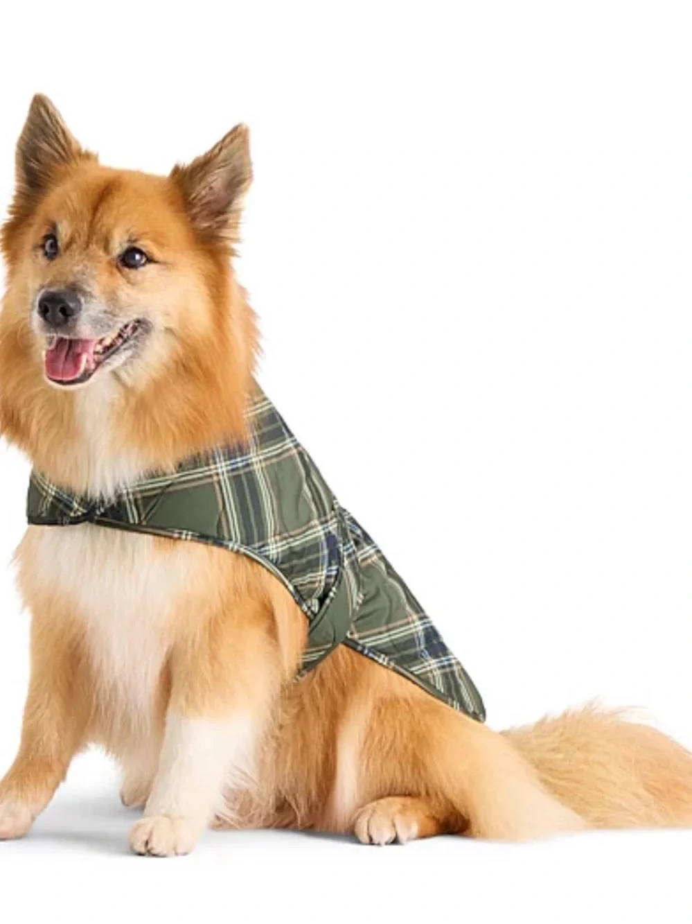 St. John’s Bark Quilted Plaid Dog Coat Jacket - Red & Navy XXL